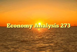 Economy Analysis 273
